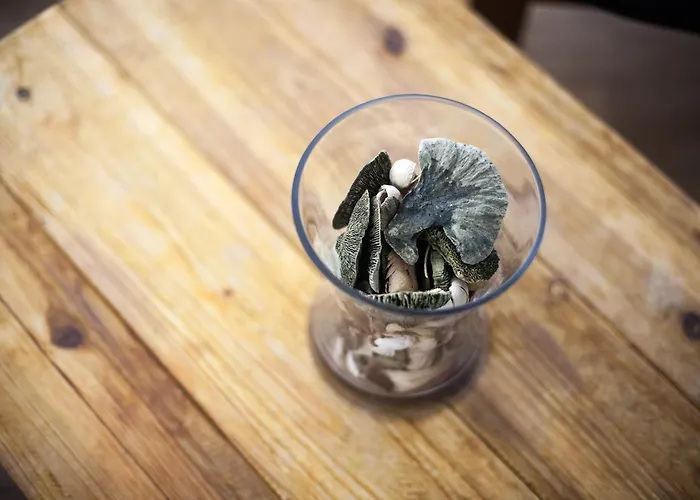 Aldamar Guest house 2*